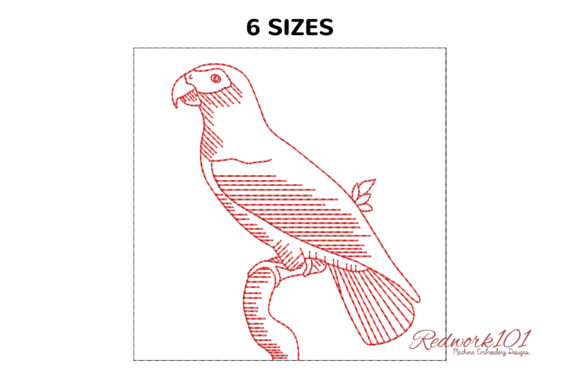 African Grey Parrot Design Review